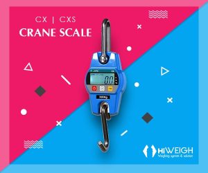 Crane Scale