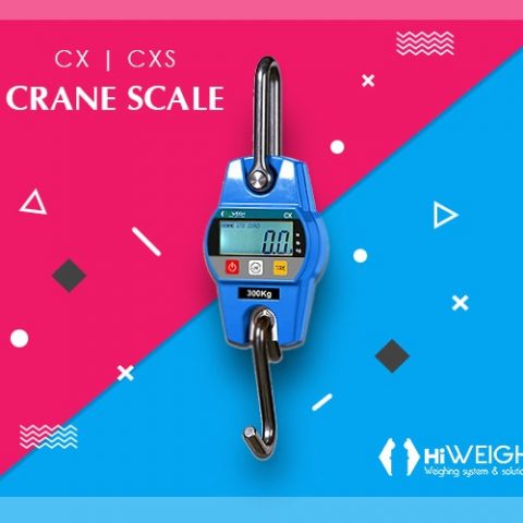 Crane Scale