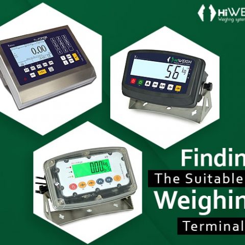 China weighing terminal