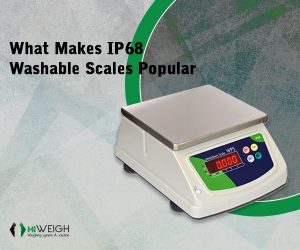 IP68 Waterproof scale