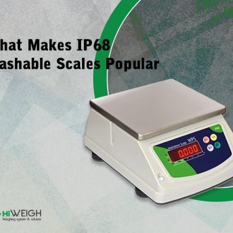 IP68 Waterproof scale