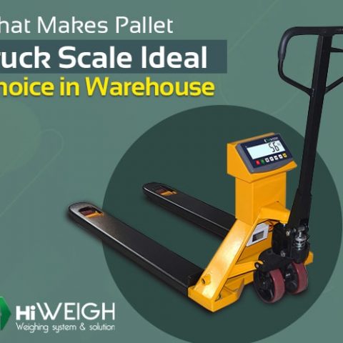 Pallet Truck Scale