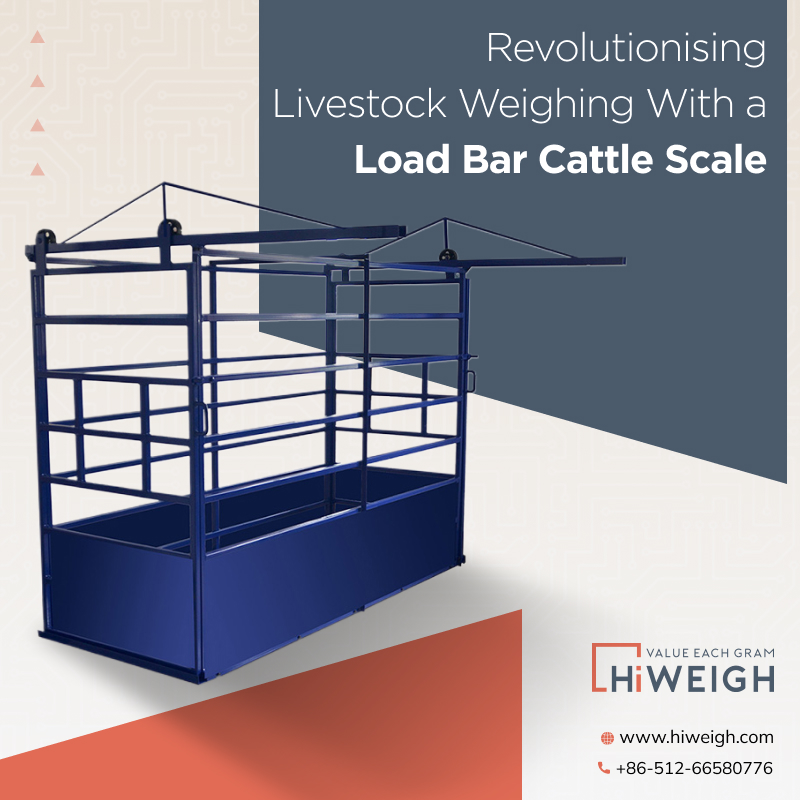 How the Load Bar Cattle Scale Is Revolutionising Livestock Weighing for Modern Farms