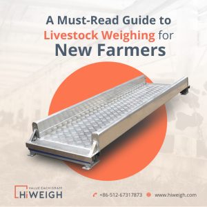 Livestock scale manufacturer