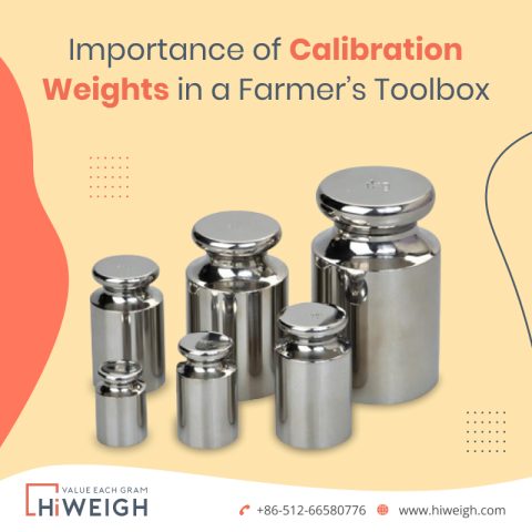 China calibration weight