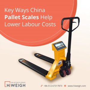 China pallet scale 