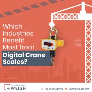 Best Digital Crane Scale