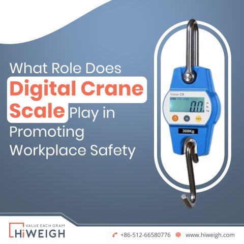 Digital Crane Scale