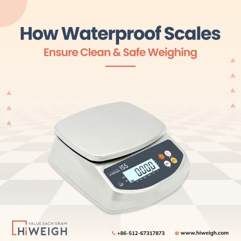 High Accuracy Waterproof Scale