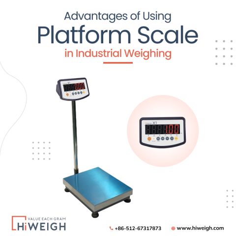 high capacity platform scale