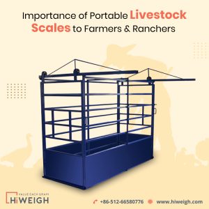 Livestock Scale Manufacturer