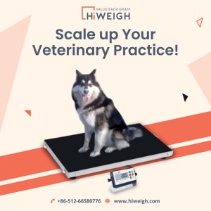 Modern Veterinary Scales